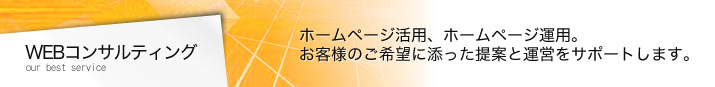 WEBコンサルティング